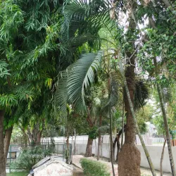 Muzaffarpur Park - Muzaffarpur