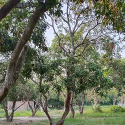 Muzaffarpur Park - Muzaffarpur