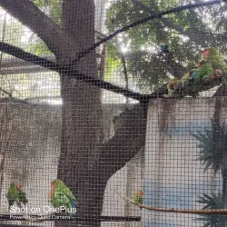 Karanji Lake - Mysore