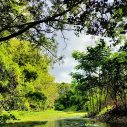 Karanji Lake - Mysore