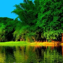 Karanji Lake - Mysore