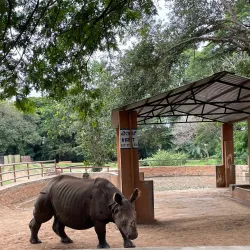 Mysore Zoo (Sri Chamarajendra Zoological Gardens) - Mysore