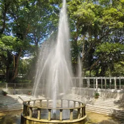 Mysore Zoo (Sri Chamarajendra Zoological Gardens) - Mysore