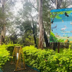 Ranganathittu Bird Sanctuary - Mysore