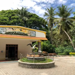 Ranganathittu Bird Sanctuary - Mysore