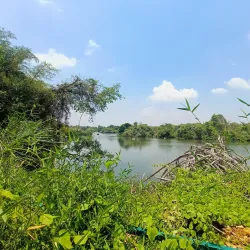 Ranganathittu Bird Sanctuary - Mysore