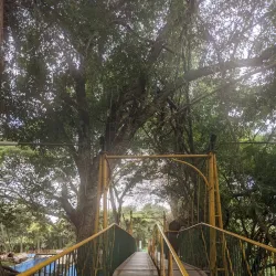 Ranganathittu Bird Sanctuary - Mysore