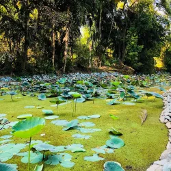 Ranganathittu Bird Sanctuary - Mysore