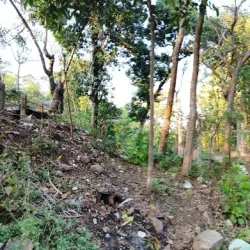 Hajo (nearby) - Nagaon