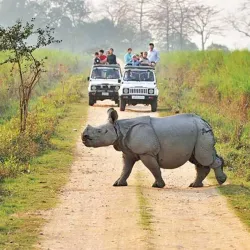 Kaziranga National Park (nearby) - Nagaon