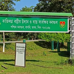 Kaziranga National Park (nearby) - Nagaon