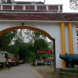 Kaziranga National Park (nearby) - Nagaon