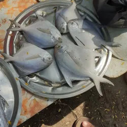 Nagaon Market - Nagaon