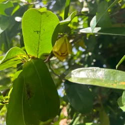 Nagercoil Botanical Garden - Nagercoil