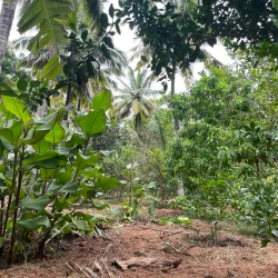 Nagercoil Botanical Garden - Nagercoil
