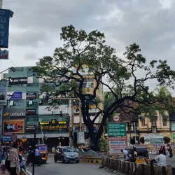 Nagercoil Clock Tower - Nagercoil