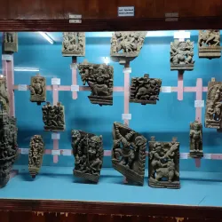 Nagercoil Government Museum - Nagercoil