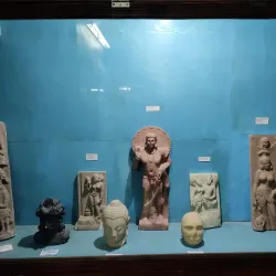 Nagercoil Government Museum - Nagercoil