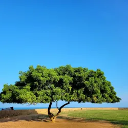 Vattakottai Fort - Nagercoil