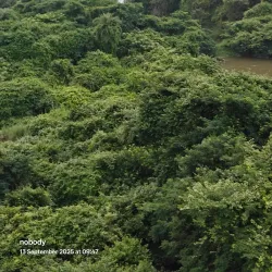 Ethipothala Falls - Nalgonda
