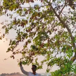 Mir Alam Tank - Nalgonda