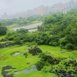 Dahisar River - Nallasopara (Nala Sopara)