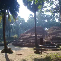 Nalasopara Buddhist Caves - Nallasopara (Nala Sopara)