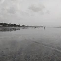 Nallasopara Beach - Nallasopara (Nala Sopara)