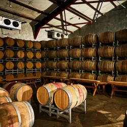 Sula Vineyards - Nashik