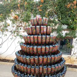 Sula Vineyards - Nashik