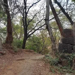 Belapur Fort - Navi Mumbai