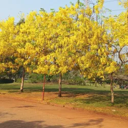 Central Park, Kharghar - Navi Mumbai