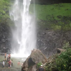Pandavkada Falls - Navi Mumbai
