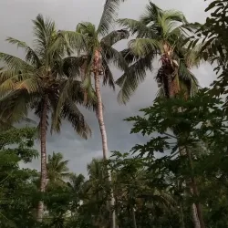 Atul Village - Navsari