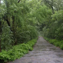 Atul Village - Navsari