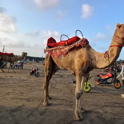 Dumas Beach - Navsari