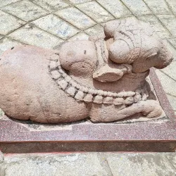 Nellore Museum - Nellore