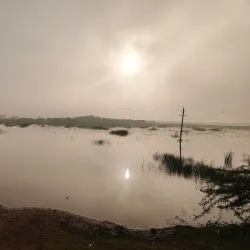 Pulicat Lake - Nellore