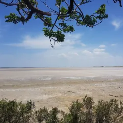 Pulicat Lake - Nellore