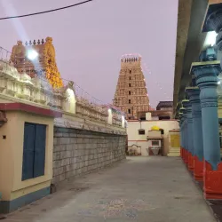 Sri Ranganatha Swamy Temple - Nellore