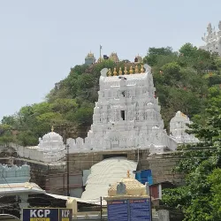 Srikalahasti Temple - Nellore