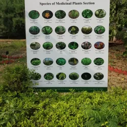 Botanical Garden of Indian Republic - Noida