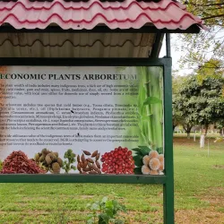 Botanical Garden of Indian Republic - Noida