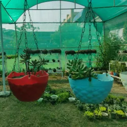 Botanical Garden of Indian Republic - Noida