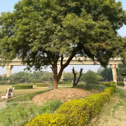 Botanical Garden of Indian Republic - Noida