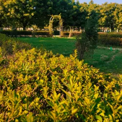 Botanical Garden of Indian Republic - Noida