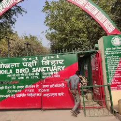 Okhla Bird Sanctuary - Noida
