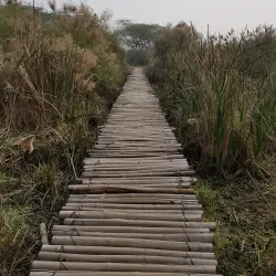 Okhla Bird Sanctuary - Noida