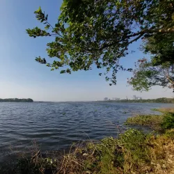 Okhla Bird Sanctuary - Noida