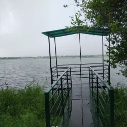 Okhla Bird Sanctuary - Noida